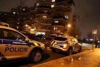Pokus o vraždu na Kladensku: Cizinec útočil řeznickým nožem!