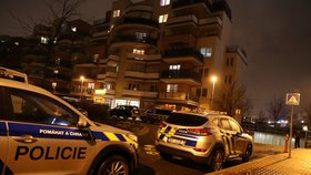 Pokus o vraždu na Kladensku: Cizinec útočil řeznickým nožem! 