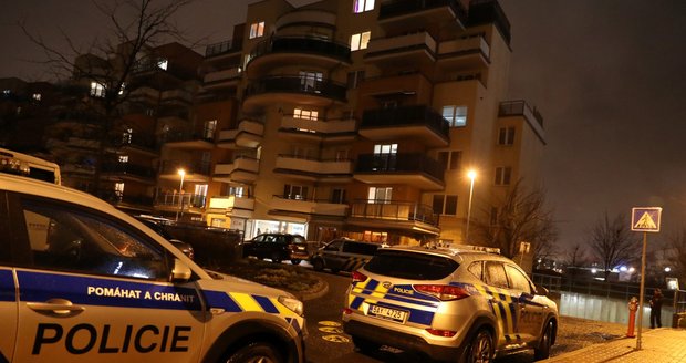Pokus o vraždu na Kladensku: Cizinec útočil řeznickým nožem! 