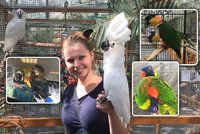 V Botanické zahradě vystavují opeřené exoty: Létající drahokamy, neposedné kakadu nebo papoušky ara
