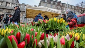 Náplavka ožila farmářskými trhy. K dostání tu byly špekáčky, víno nebo tulipány.