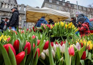 Náplavka ožila farmářskými trhy. K dostání tu byly špekáčky, víno nebo tulipány.