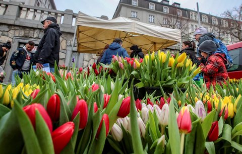 Na Náplavce bylo narváno: Farmářský trh nabídl špekáčky, bílé víno nebo nádherné tulipány