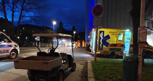 Policisté dopadli zloděje, který ve Zdibech u Prahy kradl golfové vozíky. (ilustrační foto)