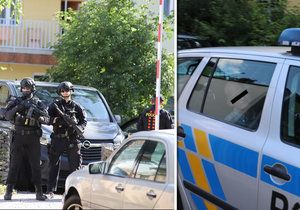 Pražští policisté v pondělí odpoledne zadrželi ve Vrchlického ulici dva muže, kteří unesli dívku.