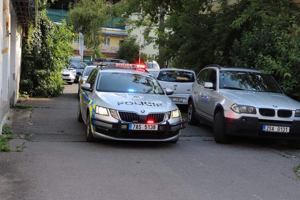 Pražští policisté v pondělí odpoledne zadrželi ve Vrchlického ulici dva muže, kteří unesli dívku.