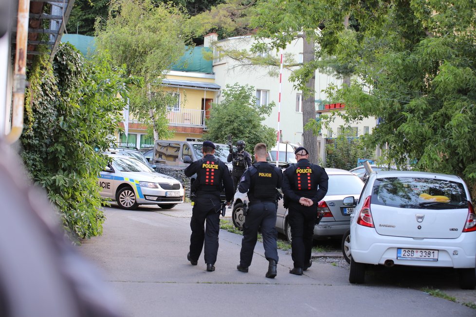 Pražští policisté v pondělí odpoledne zadrželi ve Vrchlického ulici dva muže, kteří unesli dívku.