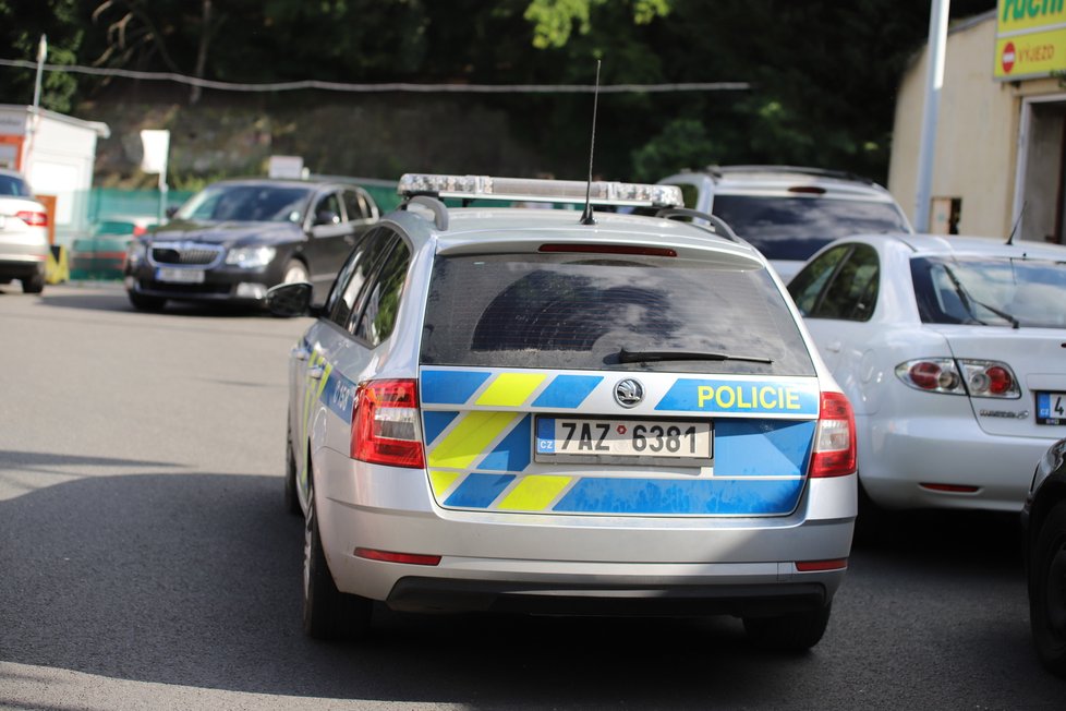 Pražští policisté v pondělí odpoledne zadrželi ve Vrchlického ulici dva muže, kteří unesli dívku.