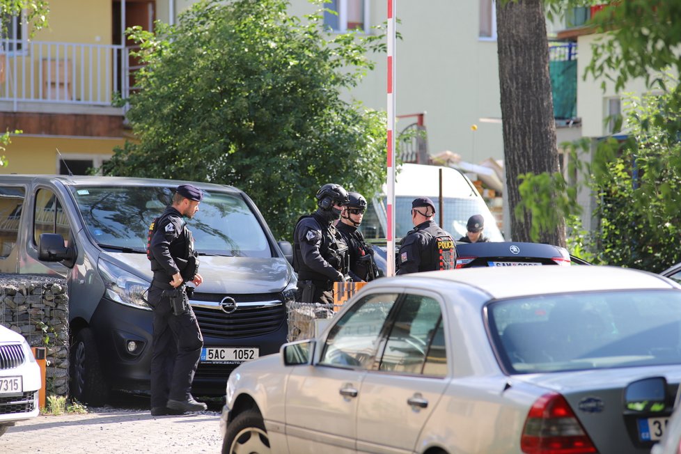 Pražští policisté v pondělí odpoledne zadrželi ve Vrchlického ulici dva muže, kteří unesli dívku.