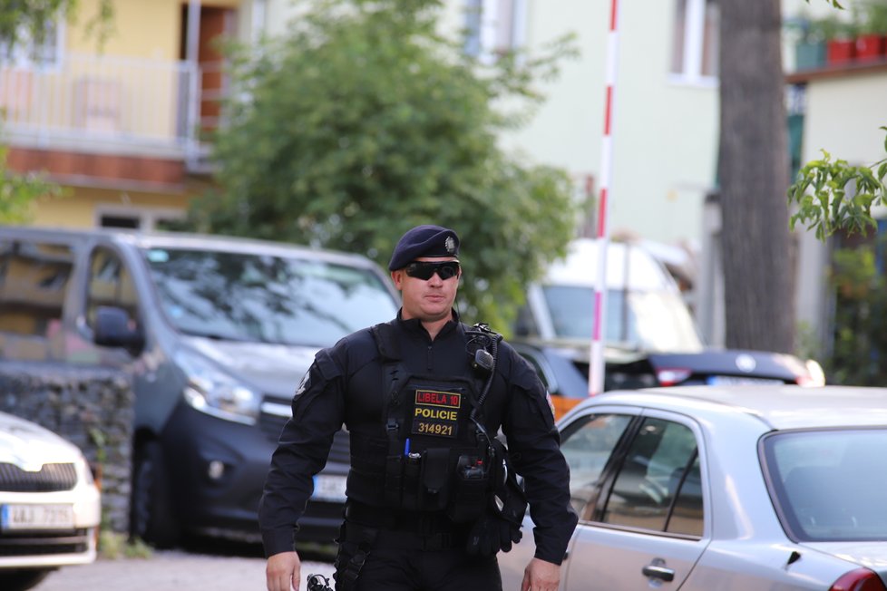 Pražští policisté v pondělí odpoledne zadrželi ve Vrchlického ulici dva muže, kteří unesli dívku.