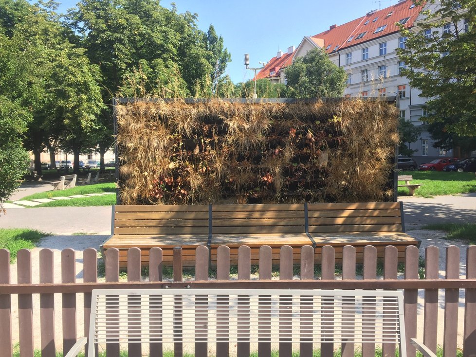 Chytrá lavička na Puškinově náměstí.