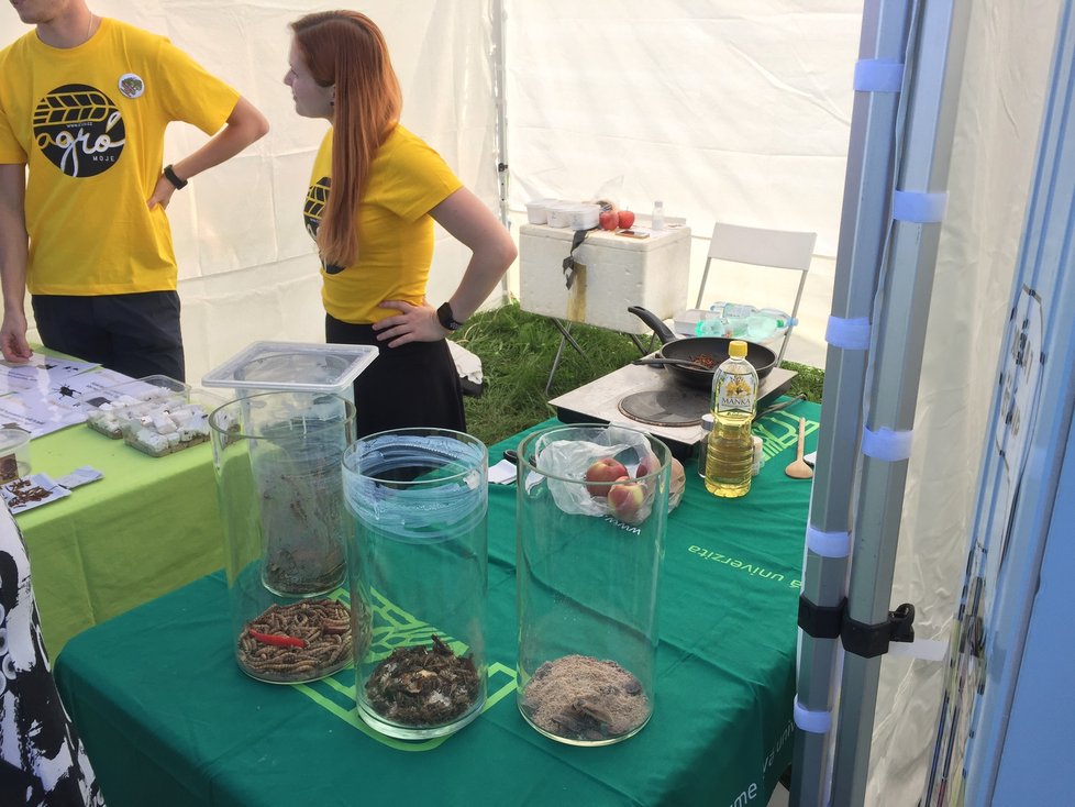 Festival vědy nabídl spoustu zážitků pro malé i velké.