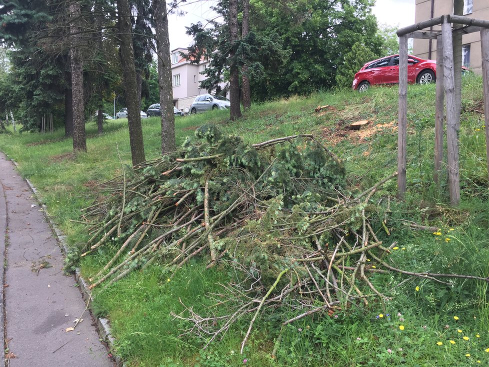 V ulici Na Ořechovce bylo pokáceno 21 stromů kvůli kůrovci.