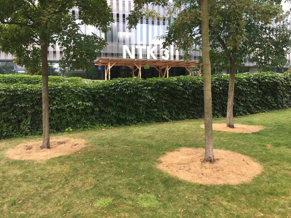 Před Národní technickou knihovnou v Praze 6 jsou tajemné kruhy v trávě.