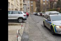 Pes zaútočil na malé dítě v Praze 6?! Vyvázlo s modřinami, případ řeší policie