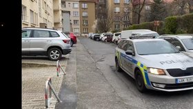Pes v Praze 6 údajně napadl dítě (19. dubna 2021).