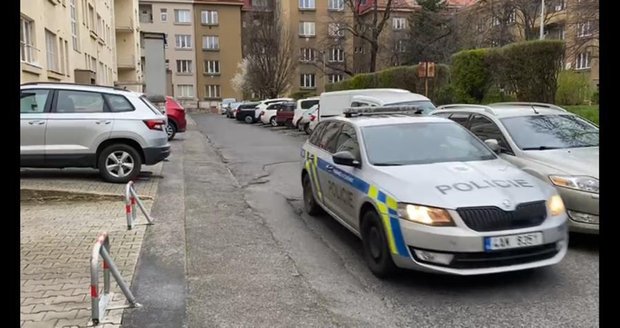 Pes v Praze 6 údajně napadl dítě (19. dubna 2021).