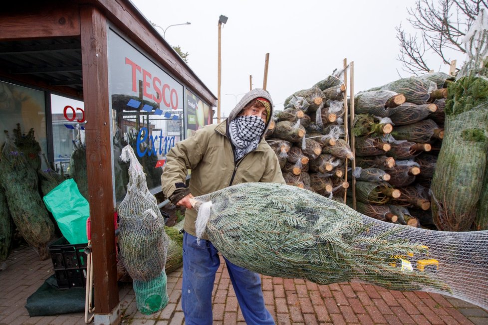 Jehličnaté stromky se prodávají také u obchodního domu Tesco.