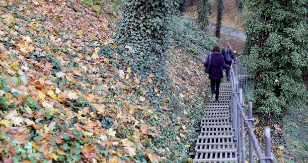 Jelení příkop se na víkend otevře veřejnosti.