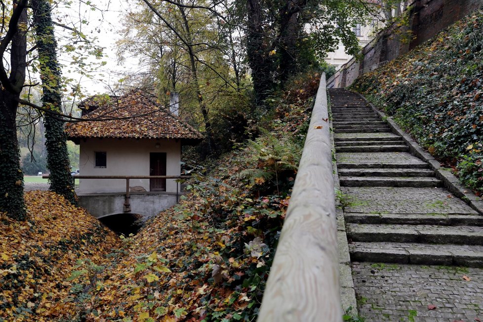 Pražský hrad otevírá do konce léta své jižní zahrady pro veřejnost.