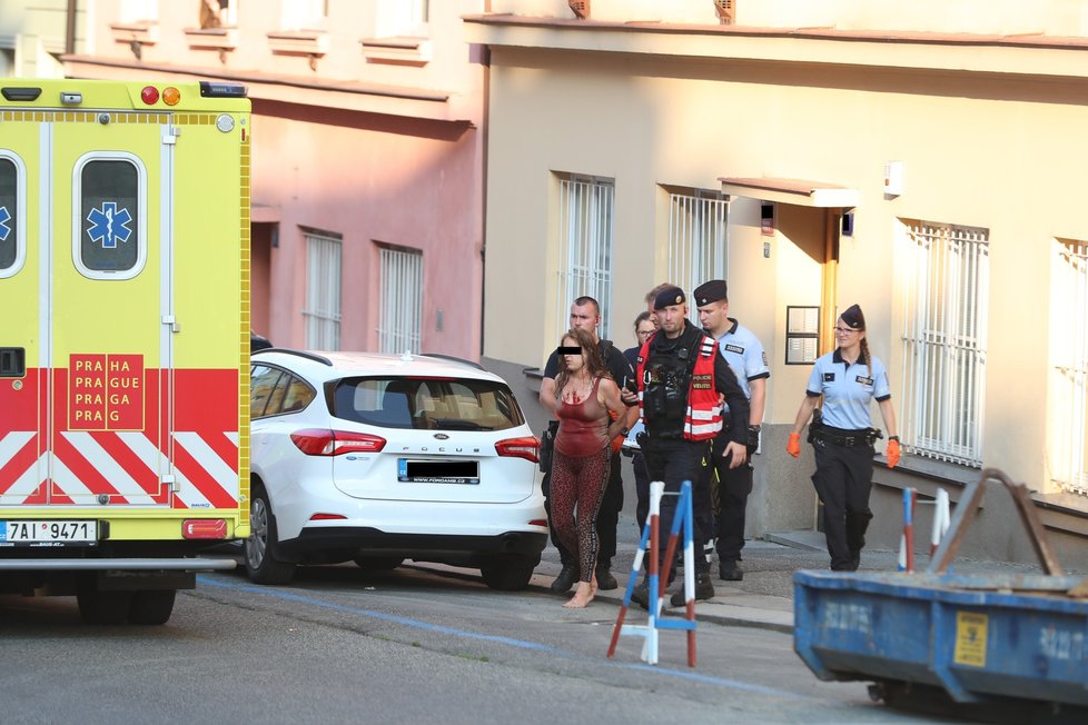 Policisté zadrželi matku ubodaného chlapce. Na místě se pokusila o sebevraždu.