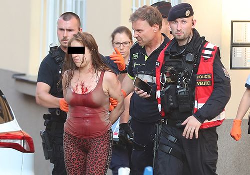 Policisté zadrželi v Praze 6 matku.