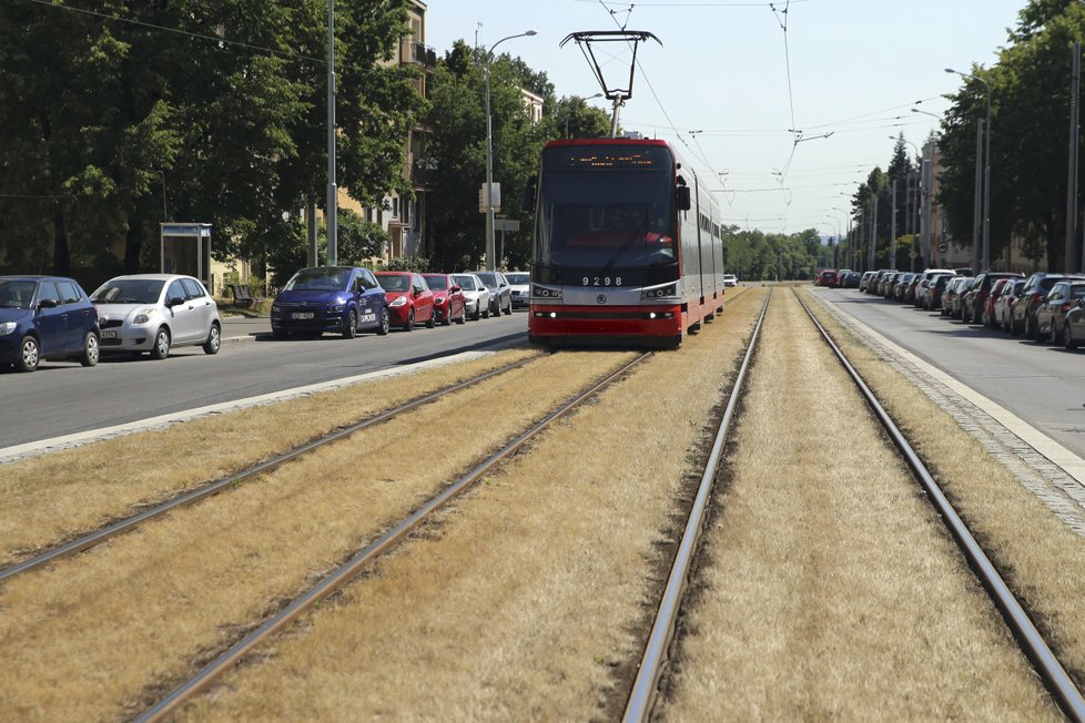 Uschlé pásy trávy na Praze 6