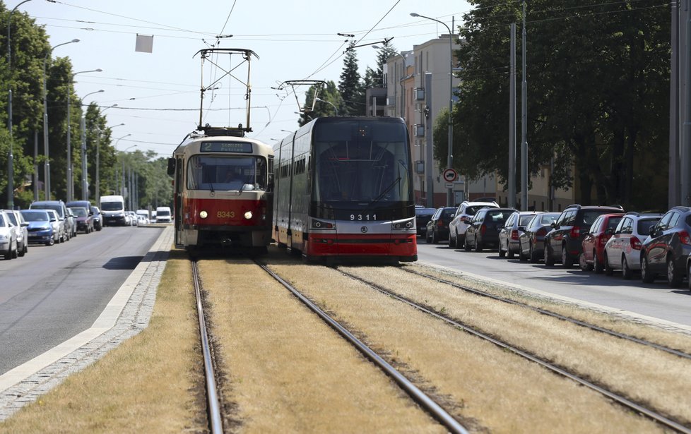 Uschlé pásy trávy na Praze 6.