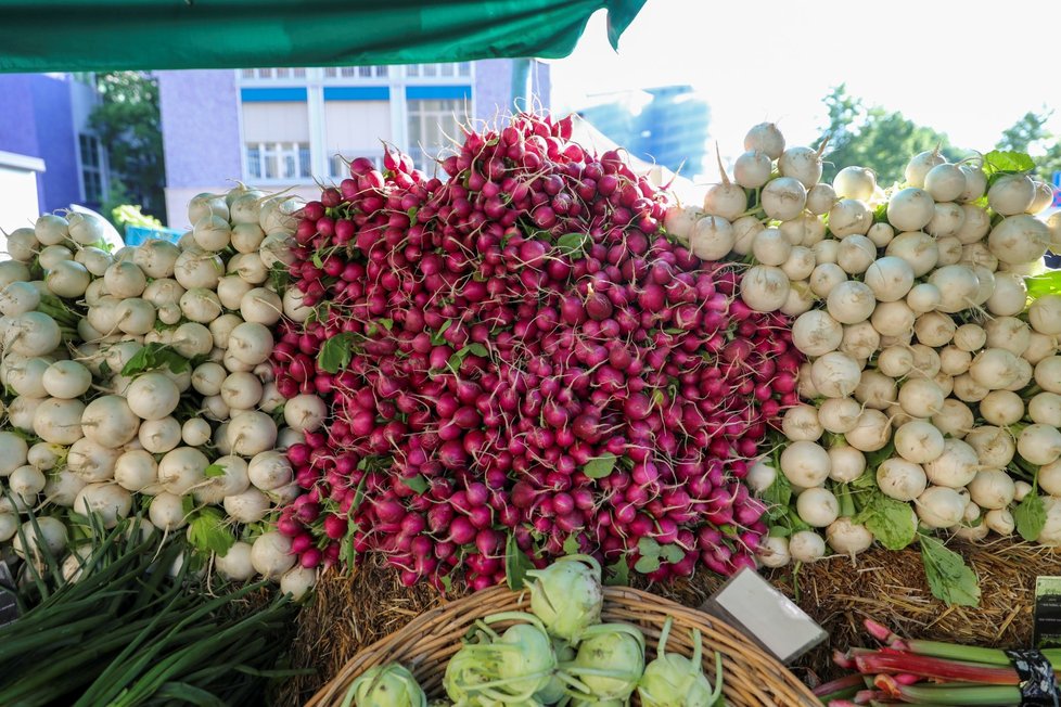 V sobotu 16. května přišli lidé nakoupit čerstvou zeleninu a ovoce na Farmářské trhy na Kulaťáku. Po celou dobu měli na obličejích roušky.