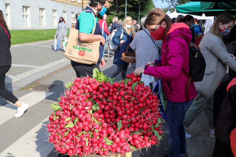 V sobotu 16. května přišli lidé nakoupit čerstvou zeleninu a ovoce na Farmářské trhy na Kulaťáku. Po celou dobu měli na obličejích roušky.