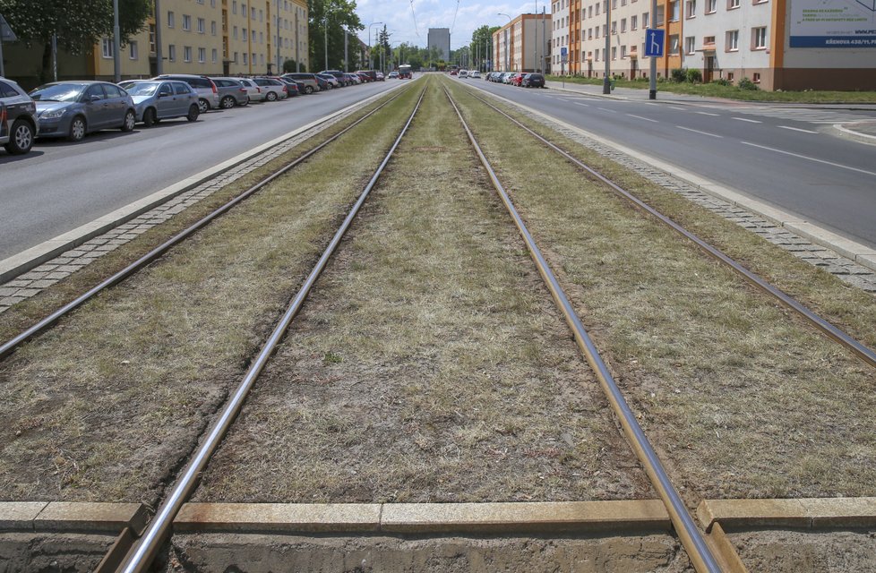 Mezi tramvajové koleje by se měly vysazovat rostliny vhodné pro suchá období.