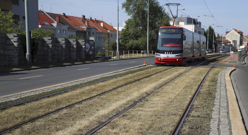 Mezi tramvajové koleje by se měly vysazovat rostliny vhodné pro suchá období.