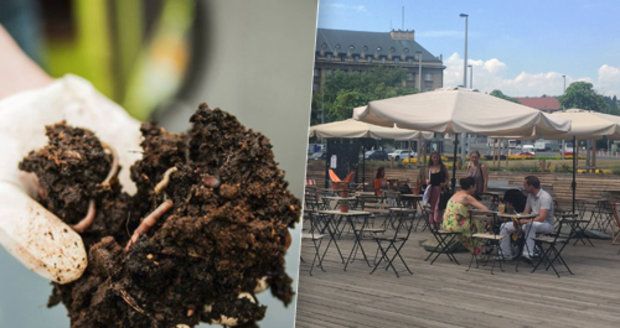 Jak přijít levně k hnojivu? Na Vítězném náměstí vás naučí vyrábět si vlastní „žížalí čaj“