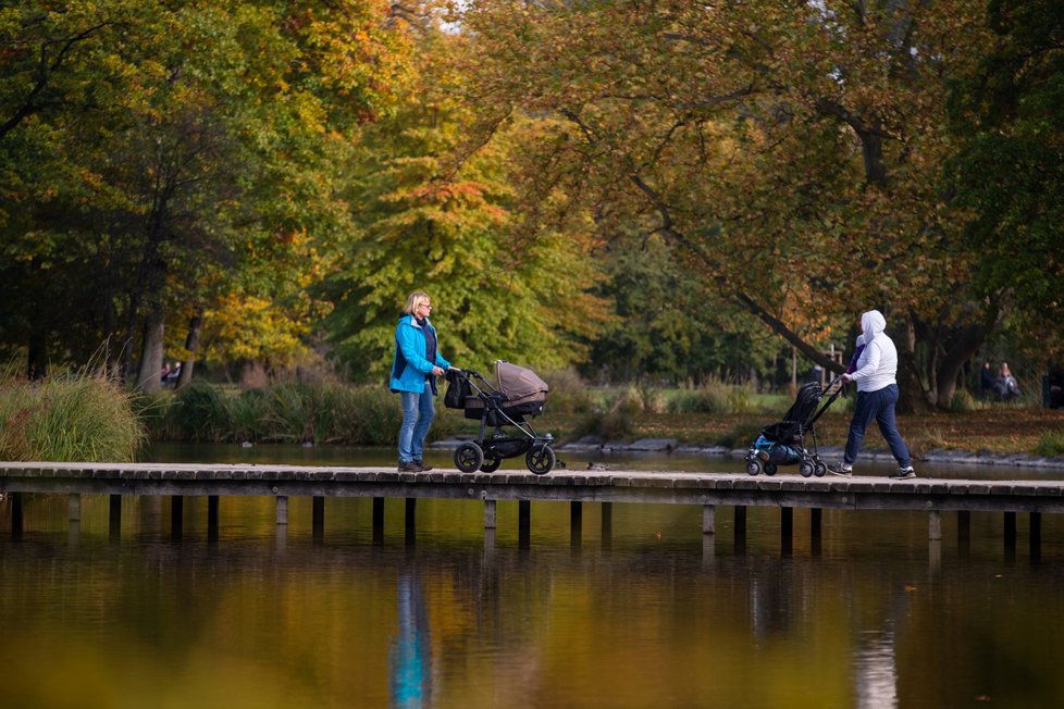 Park Stromovka.