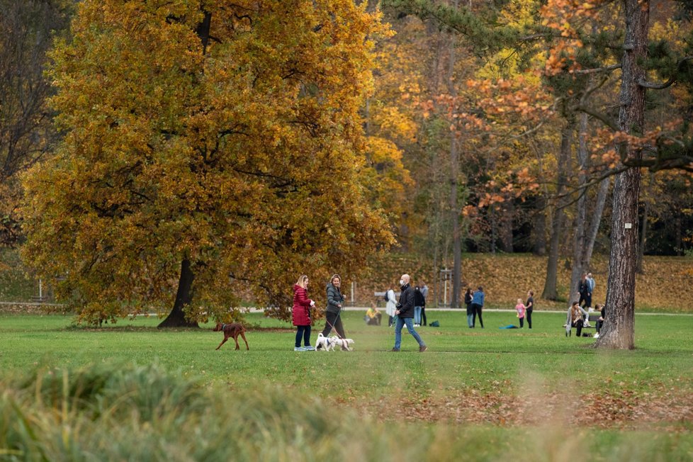 Park Stromovka by se měl v roce 2026 revitalizovat. Upraví se přístup k řece. IPR připravuje studii.