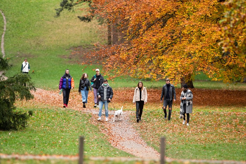 Park Stromovka by se měl v roce 2026 revitalizovat. Upraví se přístup k řece. IPR připravuje studii.