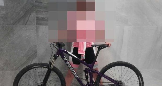 Policisté dopadli zloděje, který v březnu v Čelákovicích ukradl kolo. Kvůli koronaviru mu nyní hrozí několikaleté vězení. (ilustrační foto)