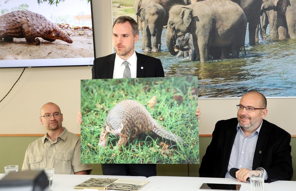 Primátor Zdeněk Hřib drží fotografii tchaj-pejského luskouna. Savec by měl bydlet i v pražské zoo.