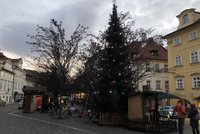 Pražské Vánoce: Před sto lety jedli Pražané šneky, v 18. století se slavilo až 25. prosince