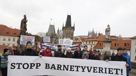 Pražský protest proti norské sociálce Barnevernet (16. 1. 2016)