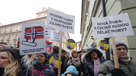 Pražský protest proti norské sociálce Barnevernet (16. 1. 2016)