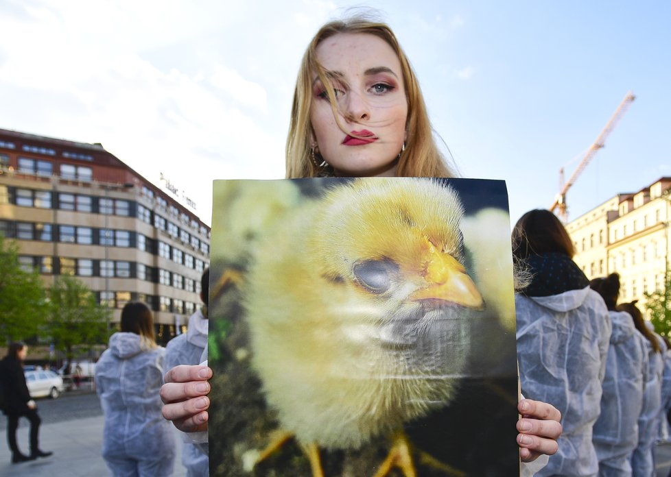 Na Václavském náměstí demonstrovali lidé v souvislosti s Velikonocemi. Tichým protestem upozorňovali na kruté zacházení s drůbeží při produkci vajec.