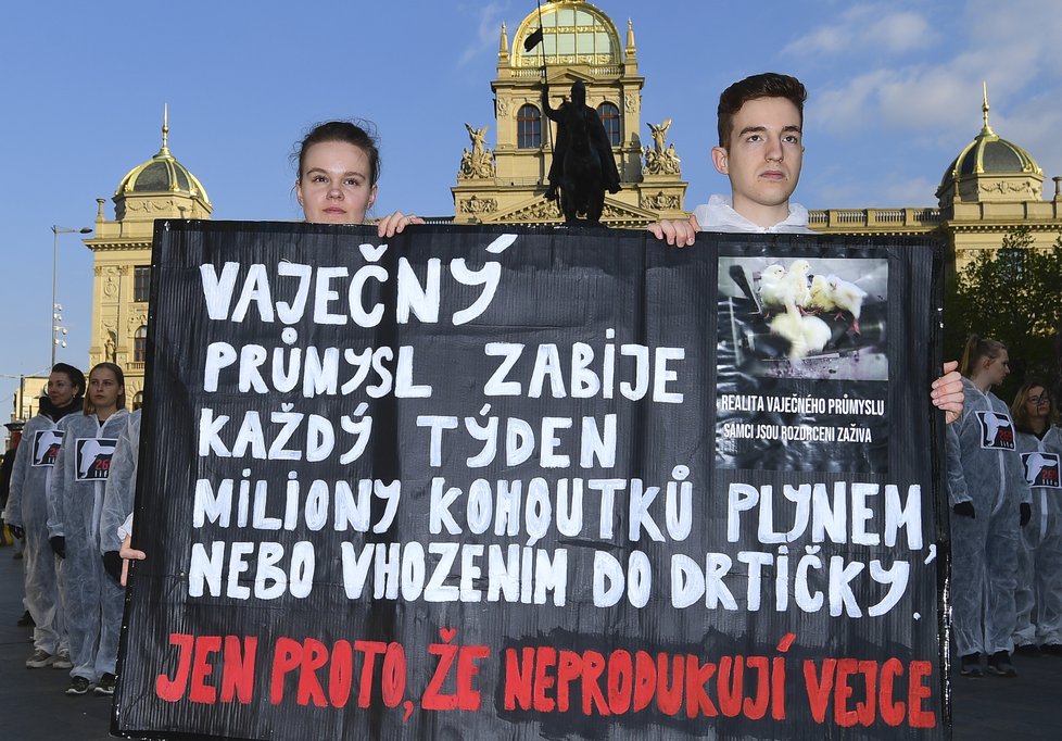 Na Václavském náměstí demonstrovali lidé v souvislosti s Velikonocemi. Tichým protestem upozorňovali na kruté zacházení s drůbeží při produkci vajec.