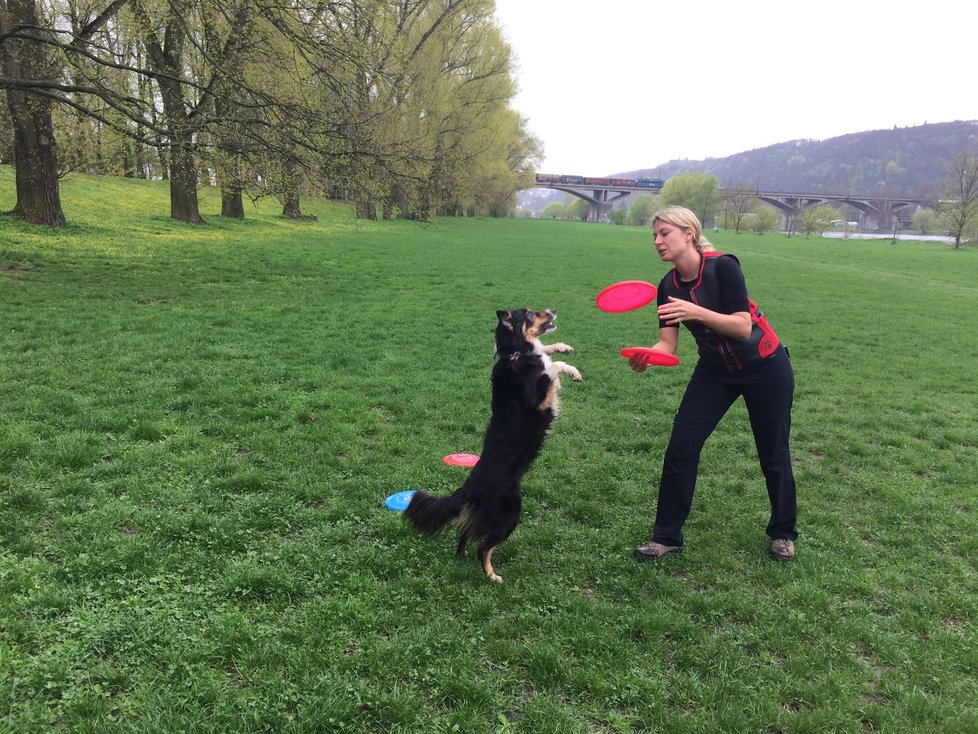 Míša trénuje psí frisbee se svými třemi border koliemi, s jednou se dokonce umístila jako osmá nejlepší v mistrovství světa.