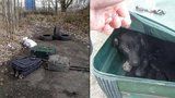 Lidský hyenismus: Policista v Praze našel osm štěňat v kufrech a igelitce!