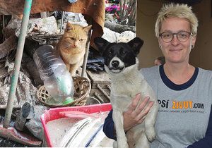 Jarmila Pávková již pět let žije svůj sen. Pomáhá zvířatům a lidem v nouzi.