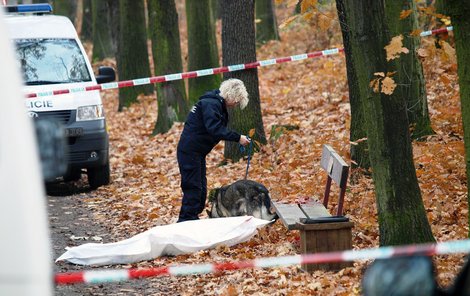 V pražských Radlicích se 10. listopadu 2012 ráno zastřelil muž. Zatím neznámý muž spáchal sebevraždu na lavičce v zalesněné části Pajerovy ulice. Policisté na místo sebevraždy přivolali i koronera kvůli ohledání mrtvoly, okolí nálezu prohledával i psovod s vycvičeným psem. VLADIMÍR STEHLÍK / MEDIAFAX