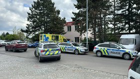 Krvavé divadlo v autoservisu v Řepích. Policie má jasno: Vražda spolupracovníka!