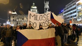 25 let od sametu: Koncert na Václavském náměstí Znovu 89. Nechyběli ani demonstranti proti Zemanovi