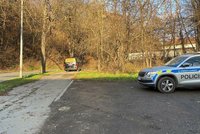 Smrt u Bulovky! Cizince (†61) našli v lesíku, ležel tam od silvestra